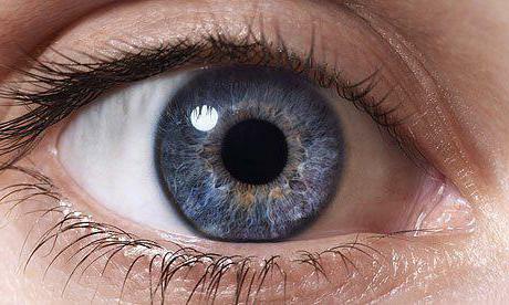 zajímavé fakty o zraku a očích