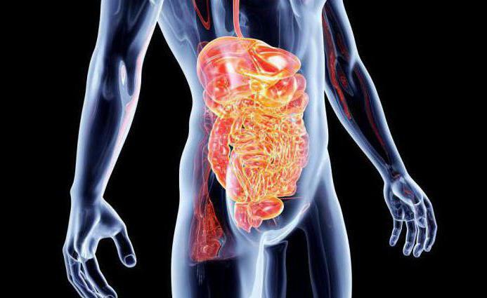 Métodos de exame do intestino