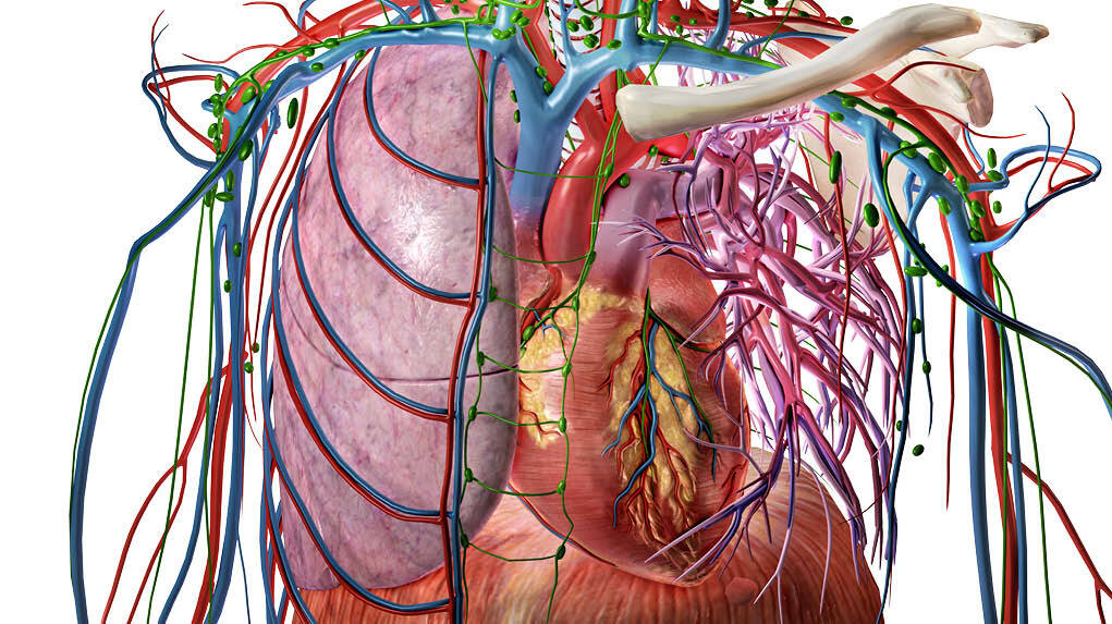 Circulatory process