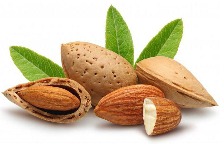 what is useful almond nut for pregnant women