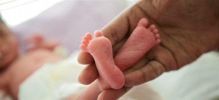 berapa kelahiran di pusat perinatal
