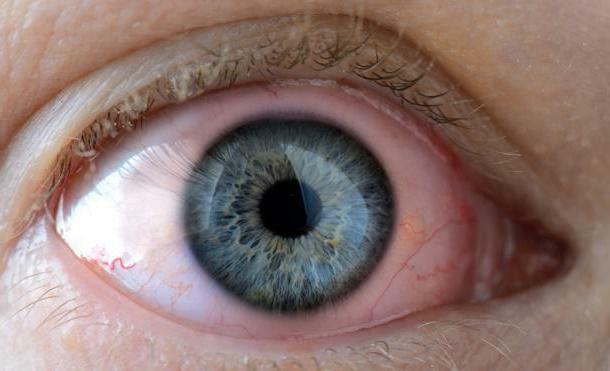 Fucital-Augentropfen Gebrauchsanweisung