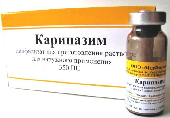 The drug for the treatment of hernia