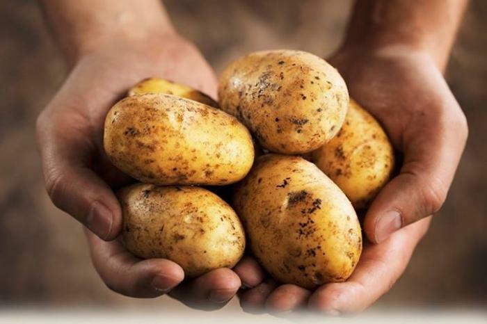 Kontraindikacijos bulvių sultys