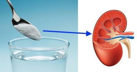 how to improve kidney function for excretion
