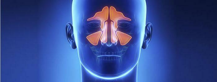 sinusitis and sinusitis in what difference