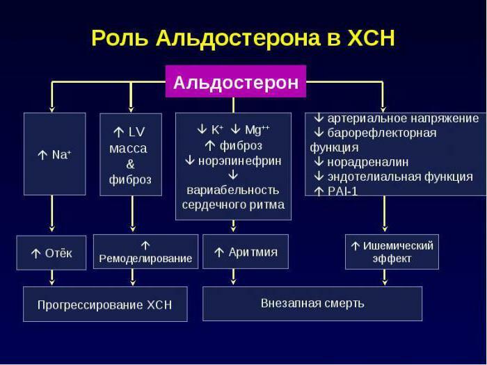 renin agiotensin aldosterone system pathophysiology