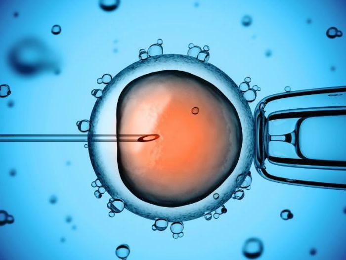 modul în care procedura de inseminare