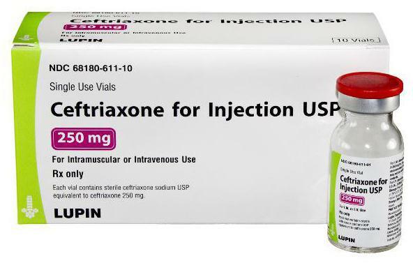 ceftriaxone from syphilis