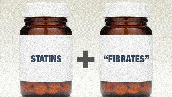 fibrates and statins