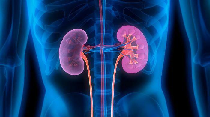 Kidney Removal Effects