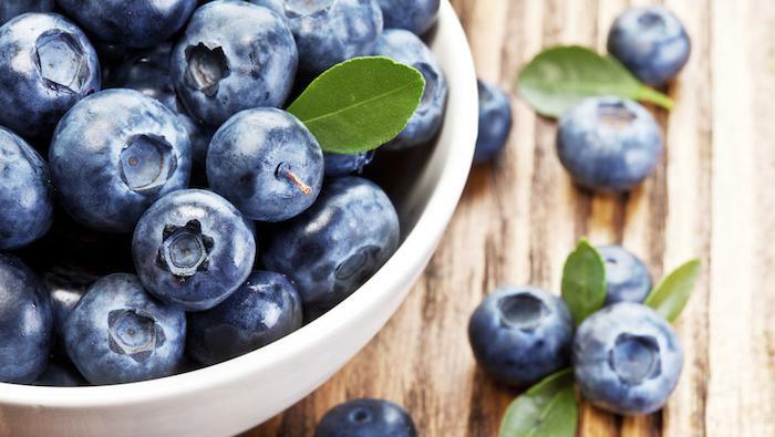 blueberries medicinal properties