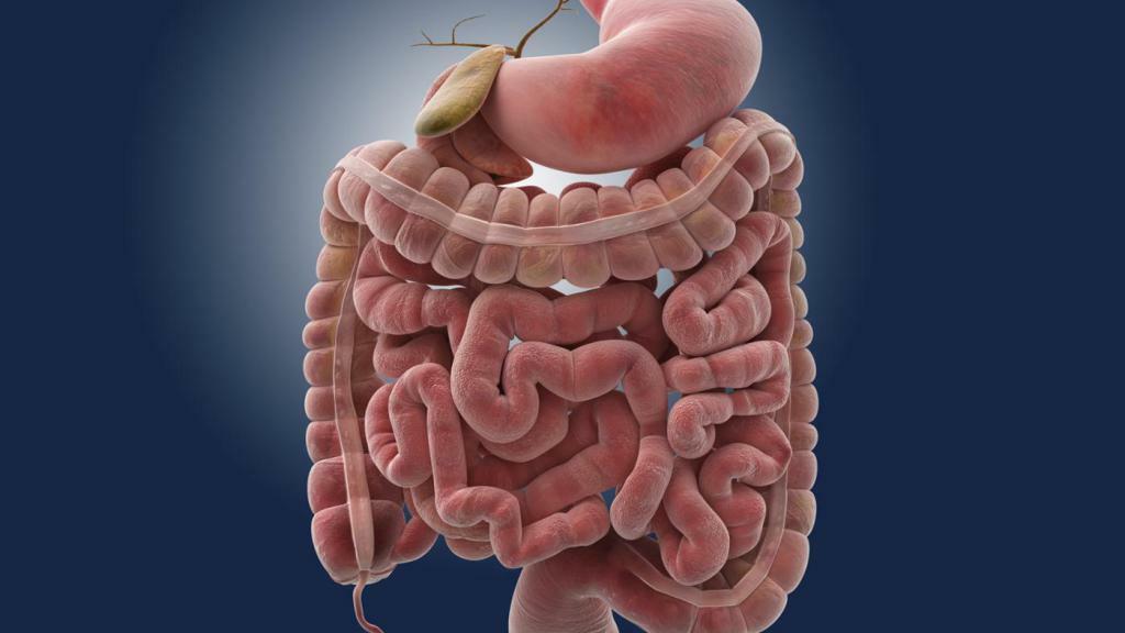 syndrome of leaky intestine causes