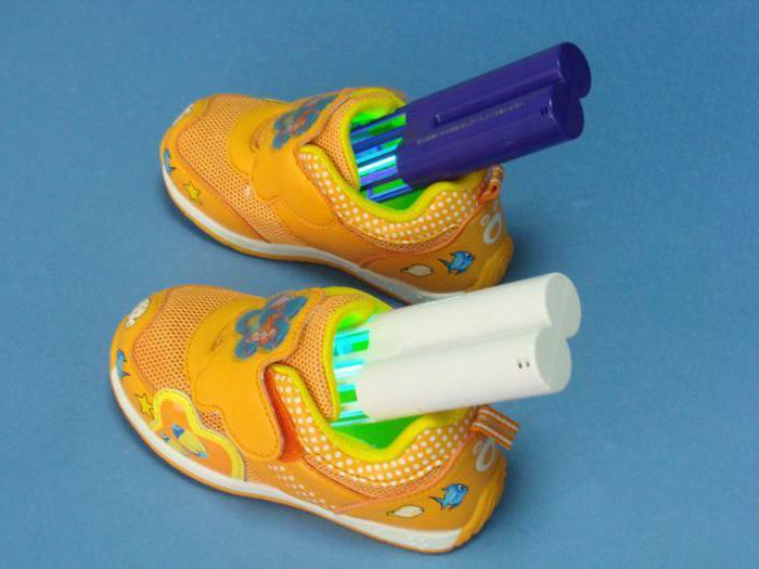 The device for processing shoes from fungus