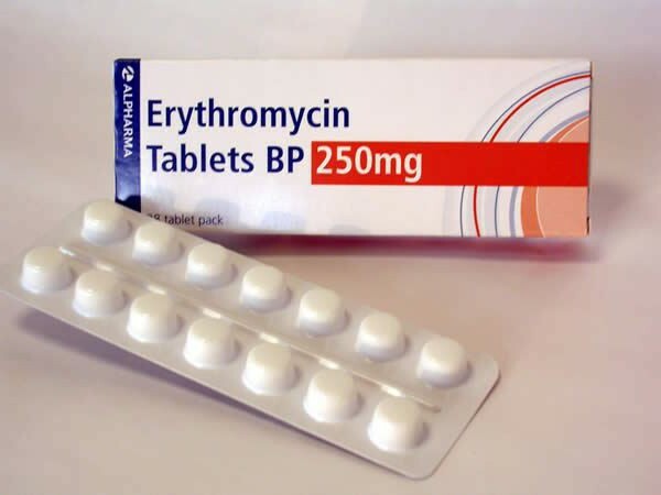 Erythromycin Analogs