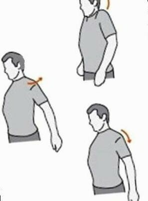 periarthritis of the shoulder joint gymnastics