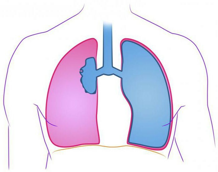 pneumothorax etiology