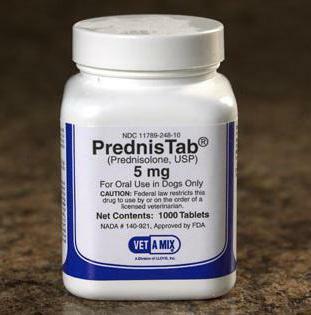 prednisolone than to replace