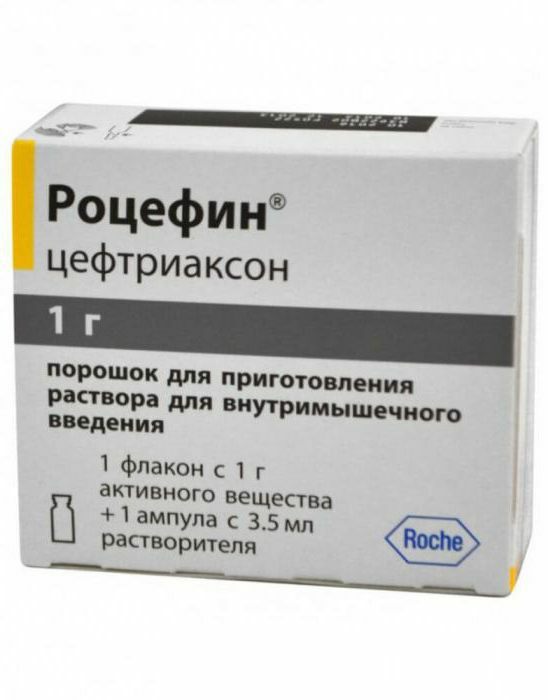 cefazolin for children dosage