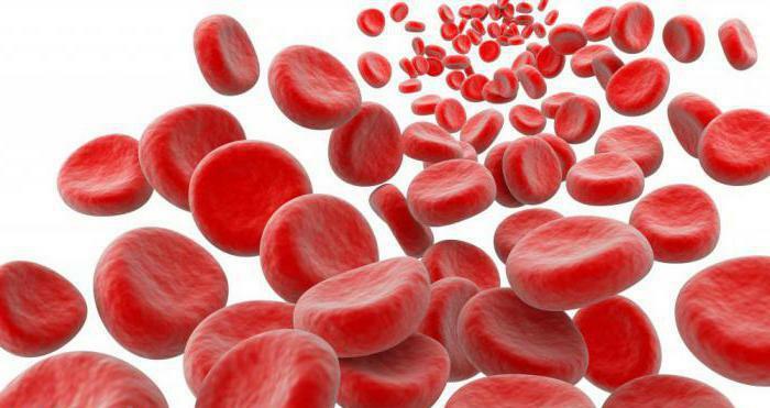 sideroblastic anemia symptoms