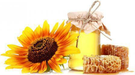 honey herbs useful properties and contraindications