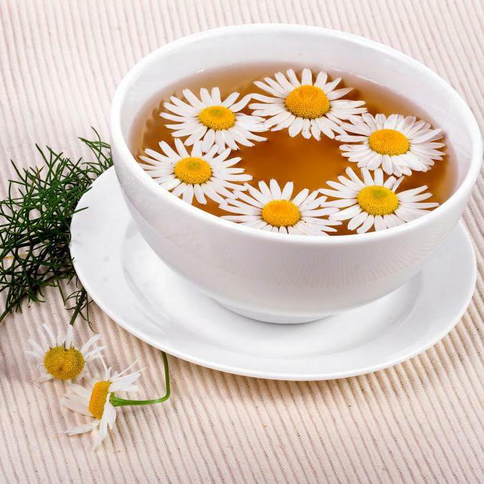 infusion of chamomile benefits and harm to men