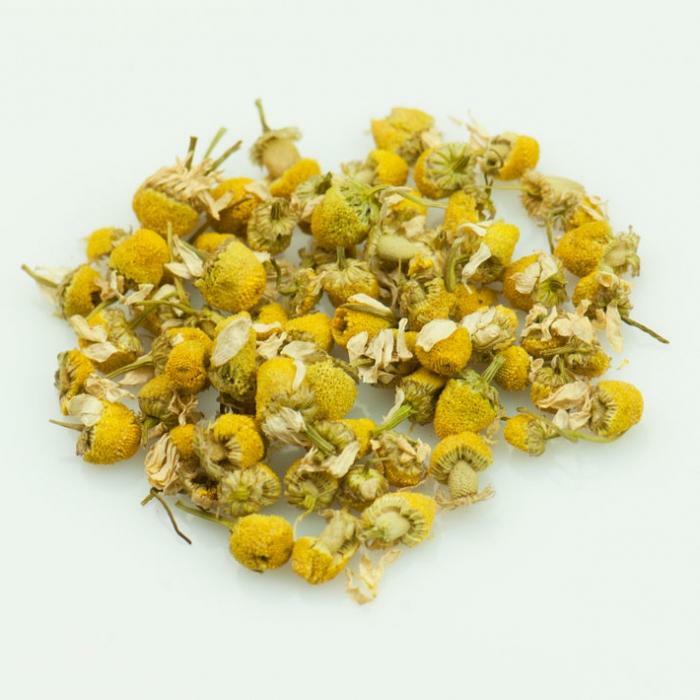 chamomile pictures