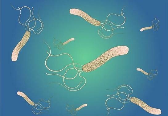 Liečba Helicobacter pylori s ľudskými prostriedkami