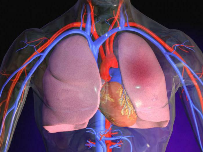 artificial heart massage and artificial respiration