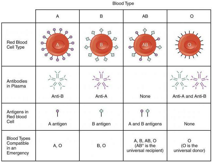 compatibilité de groupe sanguin avec le schéma de transfusion