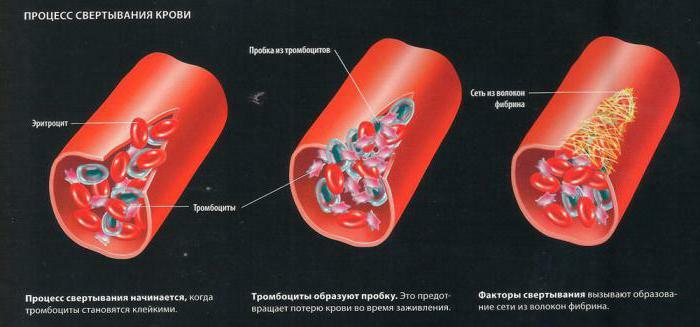 blood clotting scheme