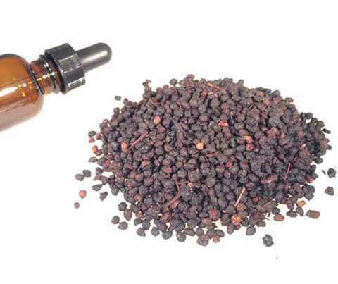 blackberry medicinal properties and contraindications