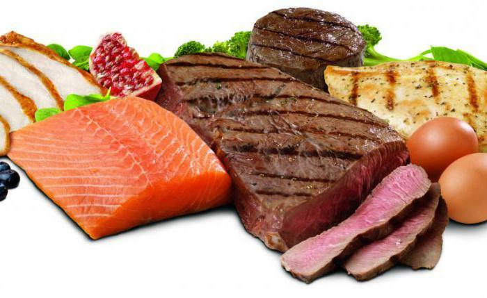 protein-rich fat diet menu