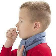 expectorants for wet cough in adults