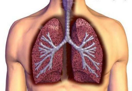 pleurisy of the lungs what it is like to cure