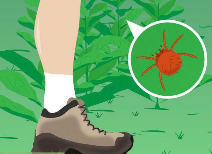 what is the incubation period for tick-borne encephalitis