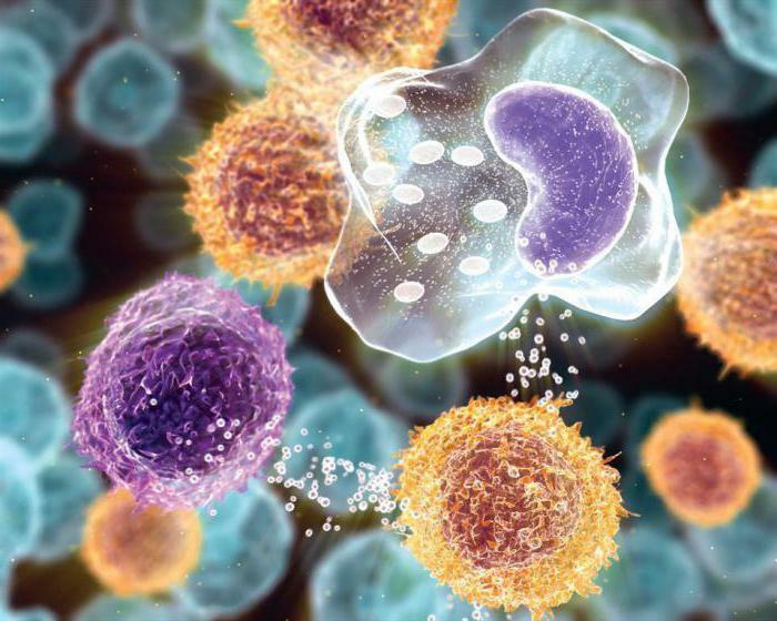 What is cytokinotherapy?
