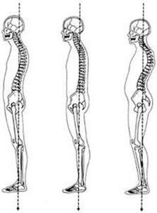 المنحنيات الفسيولوجية للعمود الفقري