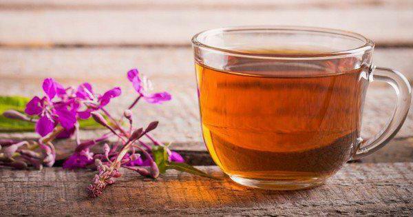 how to prepare ivan tea