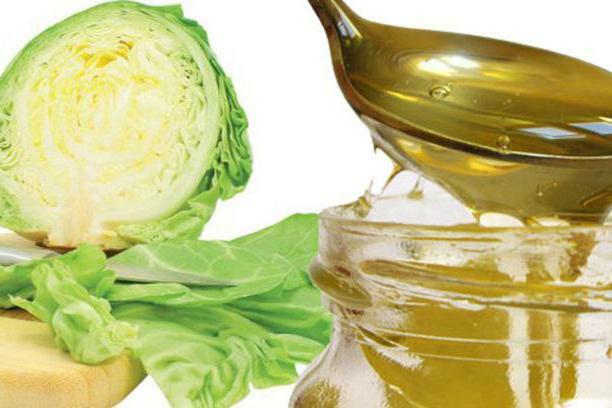 Cabbage leaf with honey from cough отзывы