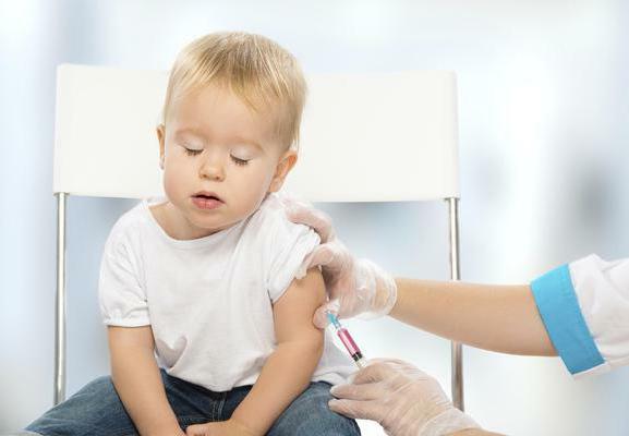 vaccination against meningococcal infection