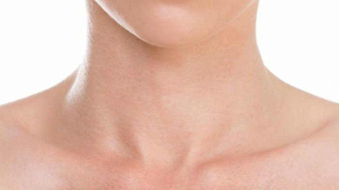 The structure of the neck of a person