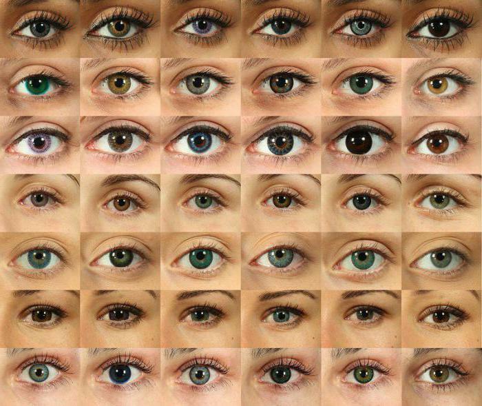 how to choose color lenses in size