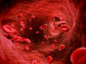 the liquid part of the blood is called the red blood cells of the plasma