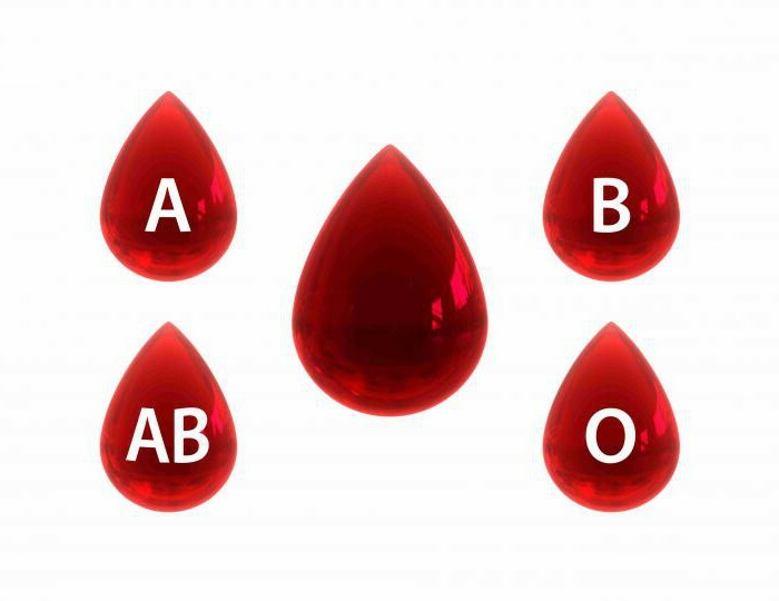blood group determination avo in a cross way