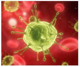 Coxsackie virus. Is it dangerous for pregnant women?