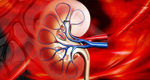 pantomatous pyelonephritis carbuncle and kidney abscess