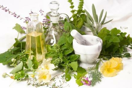 remedies for kidney function