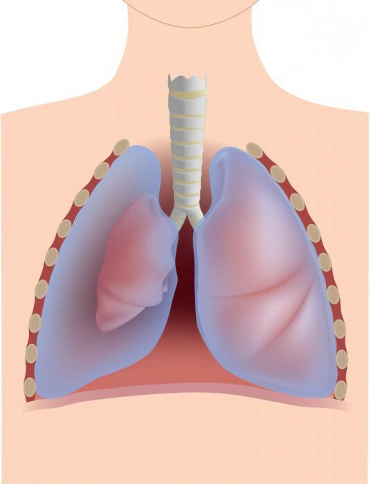 pneumothorax types and diff diagnosis