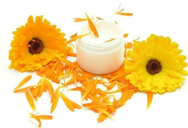 what is useful about calendula